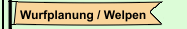 Wurfplanung / Welpen