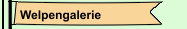 Welpengalerie